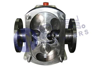 Rotary Lobe pump Manufacturer in Gujarat, India